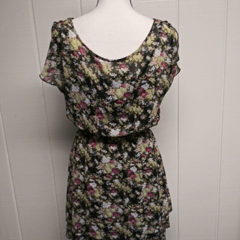 Express Dress - Picture 5 of 6